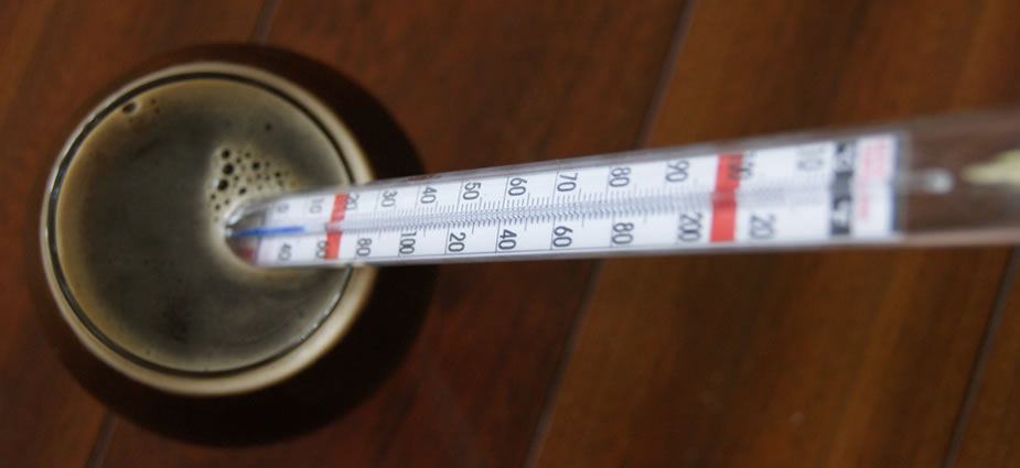 Selecting the Right Temperature for your Beer