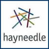 HayNeedle